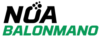 noa-balonmano-i-n